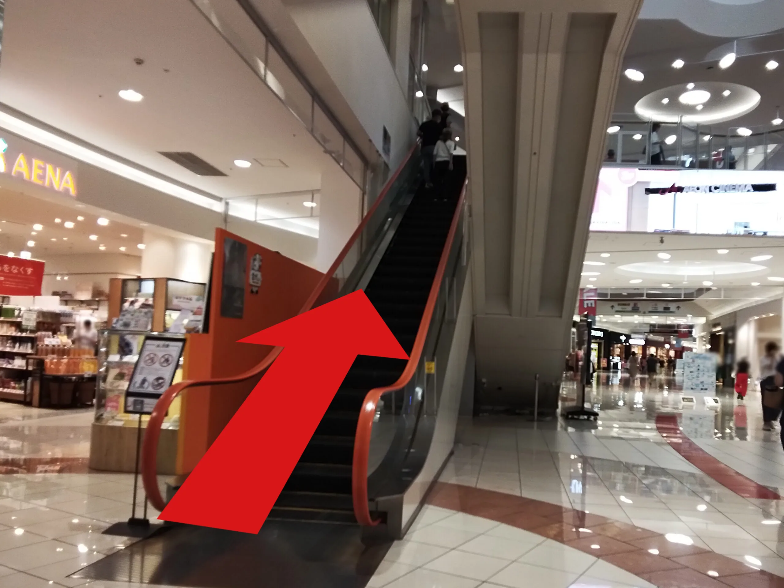 イオンモール千葉ニュータウン店への道順 2: 1F エスカレーター