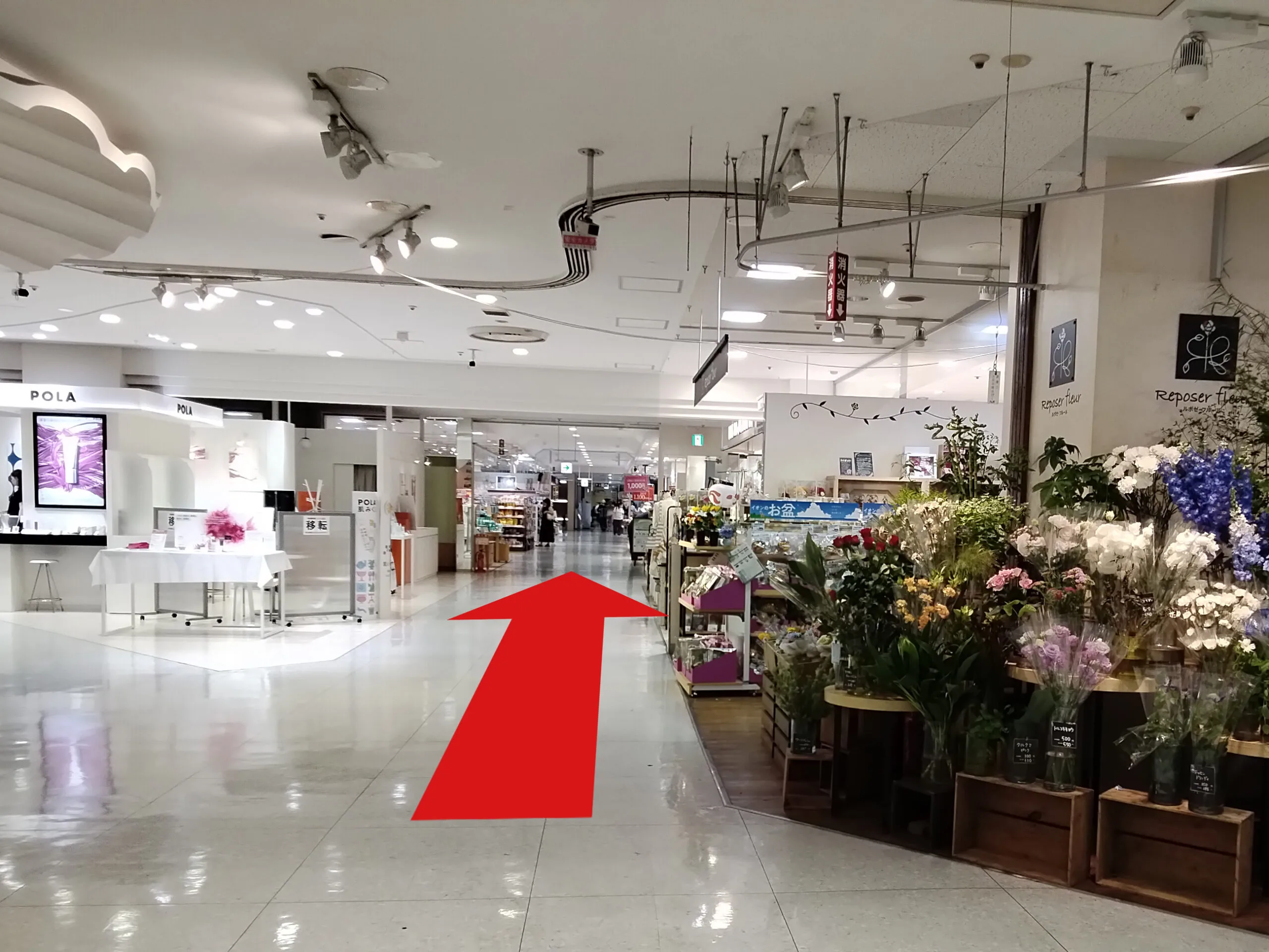 マリンピア店への道順 2: 入り口入ってすぐの写真