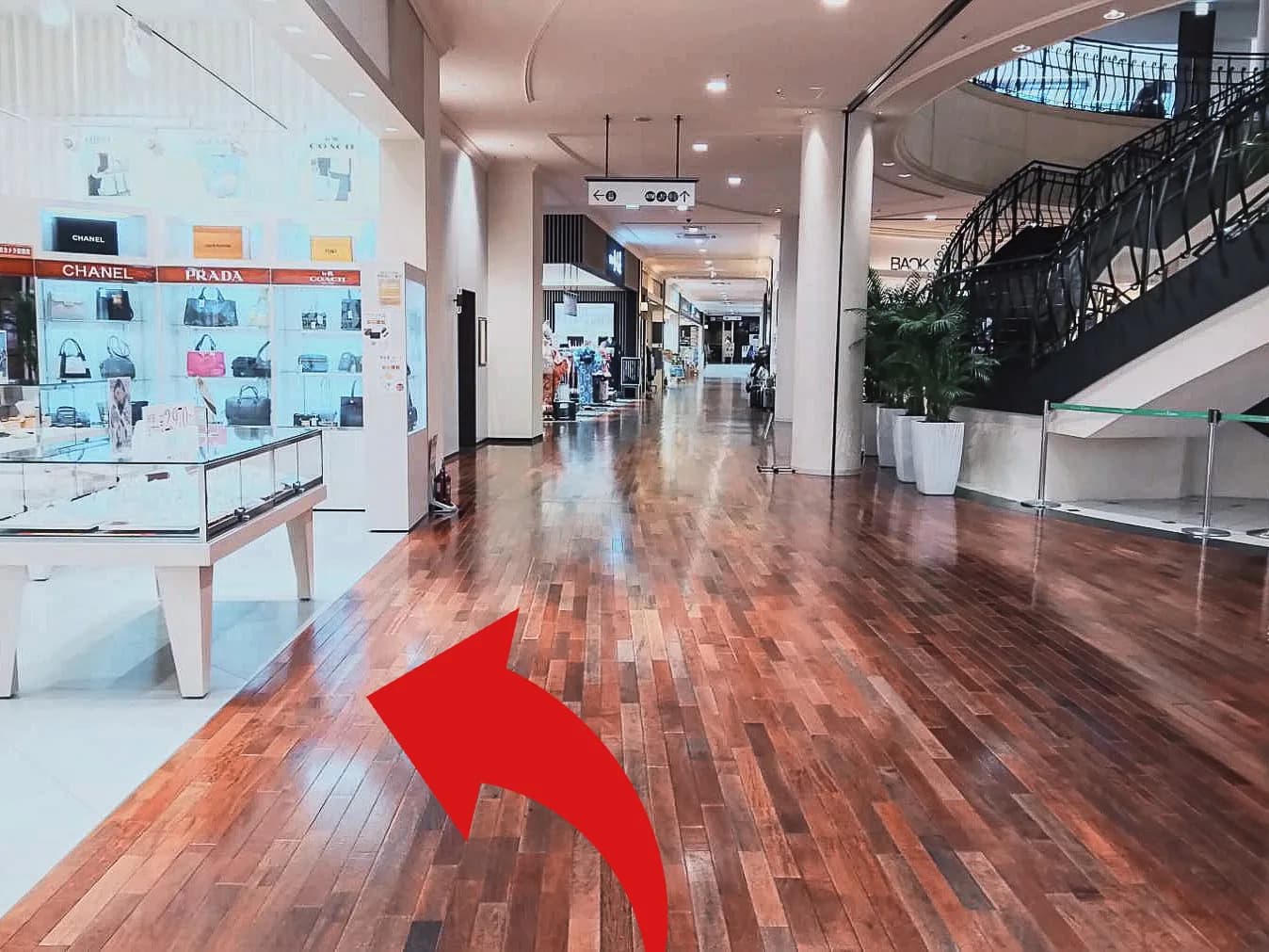 仙台タピオ店への道順 4: 店頭写真