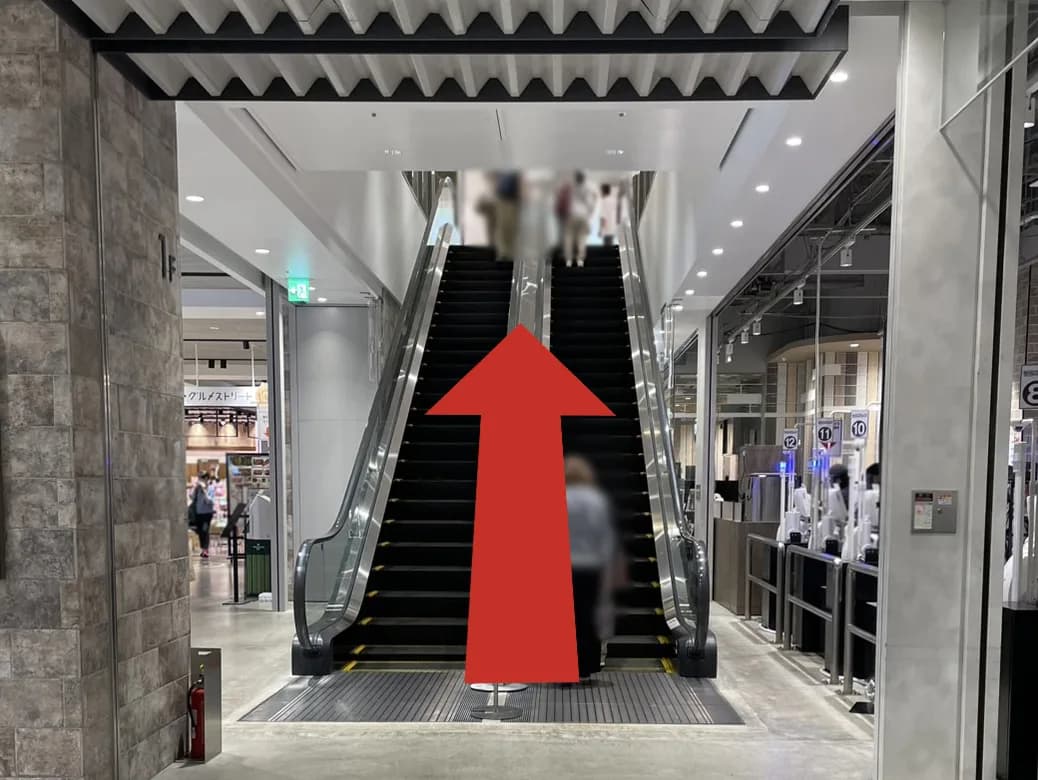 テラスモール松戸店への道順 2: 一階エスカレーター写真